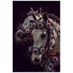 Cavalli e Rosette