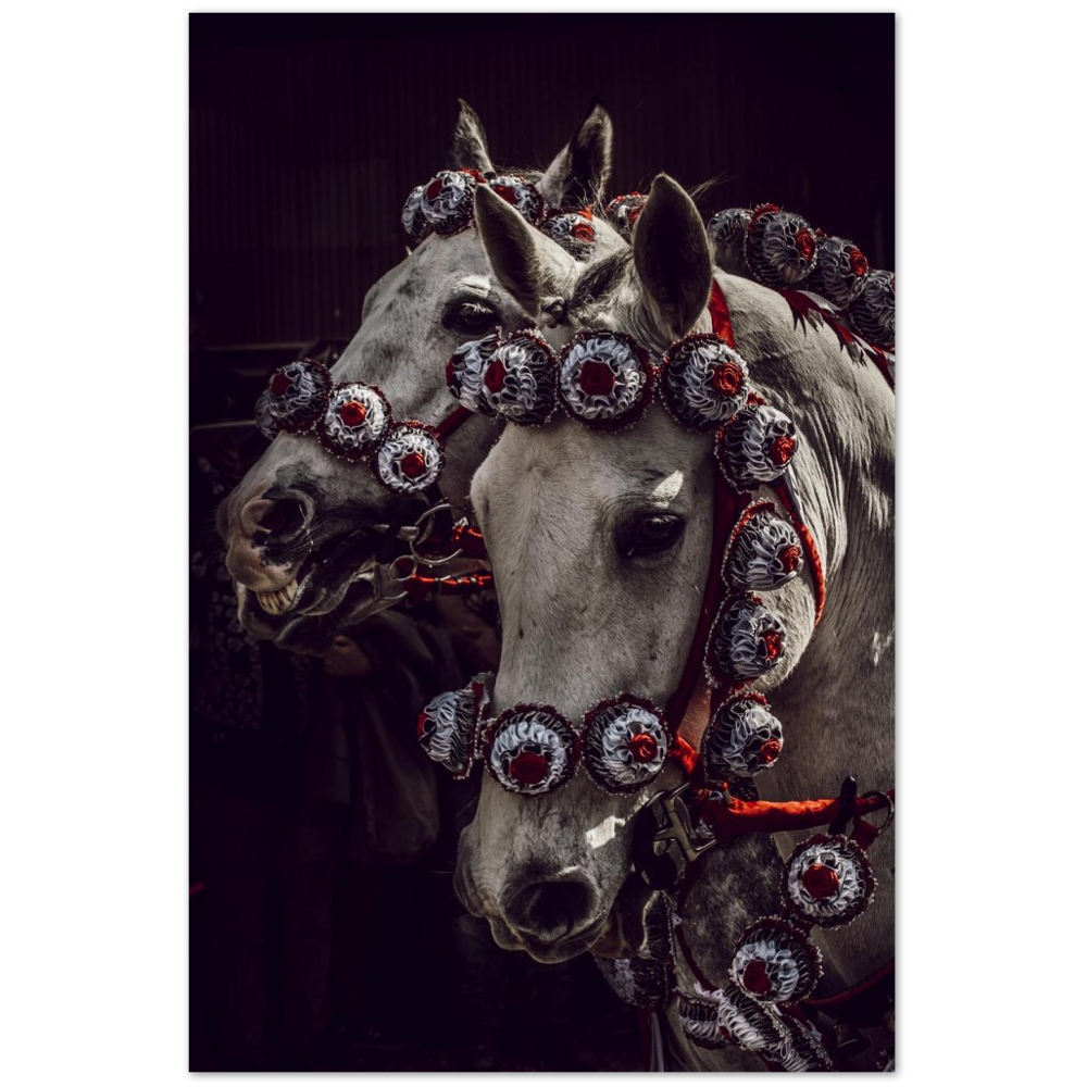 Cavalli e Rosette
