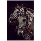Cavalli e Rosette