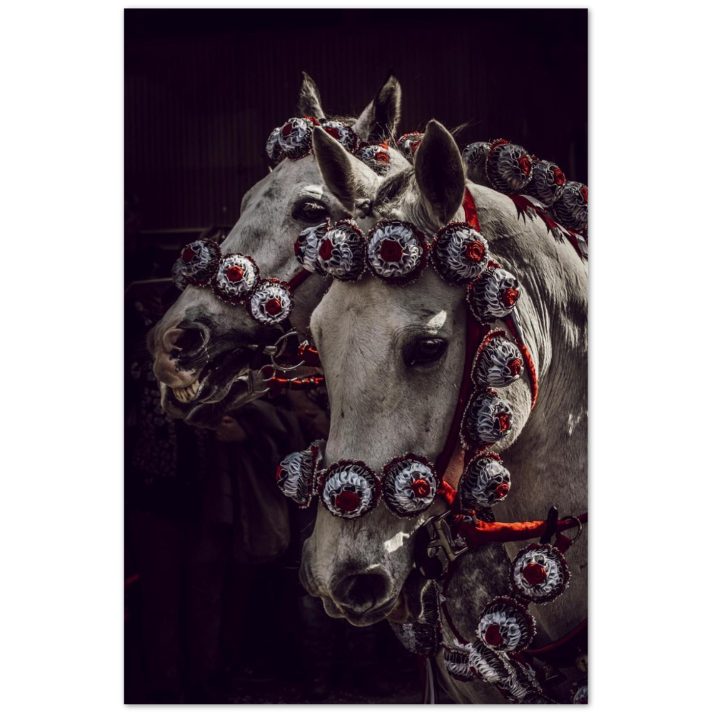 Cavalli e Rosette